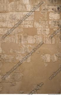 Photo Texture of Habu 0173